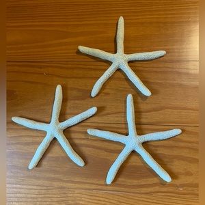 ⭐️Starfish (Resin) Wall Decor set of 3